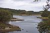 Ulva